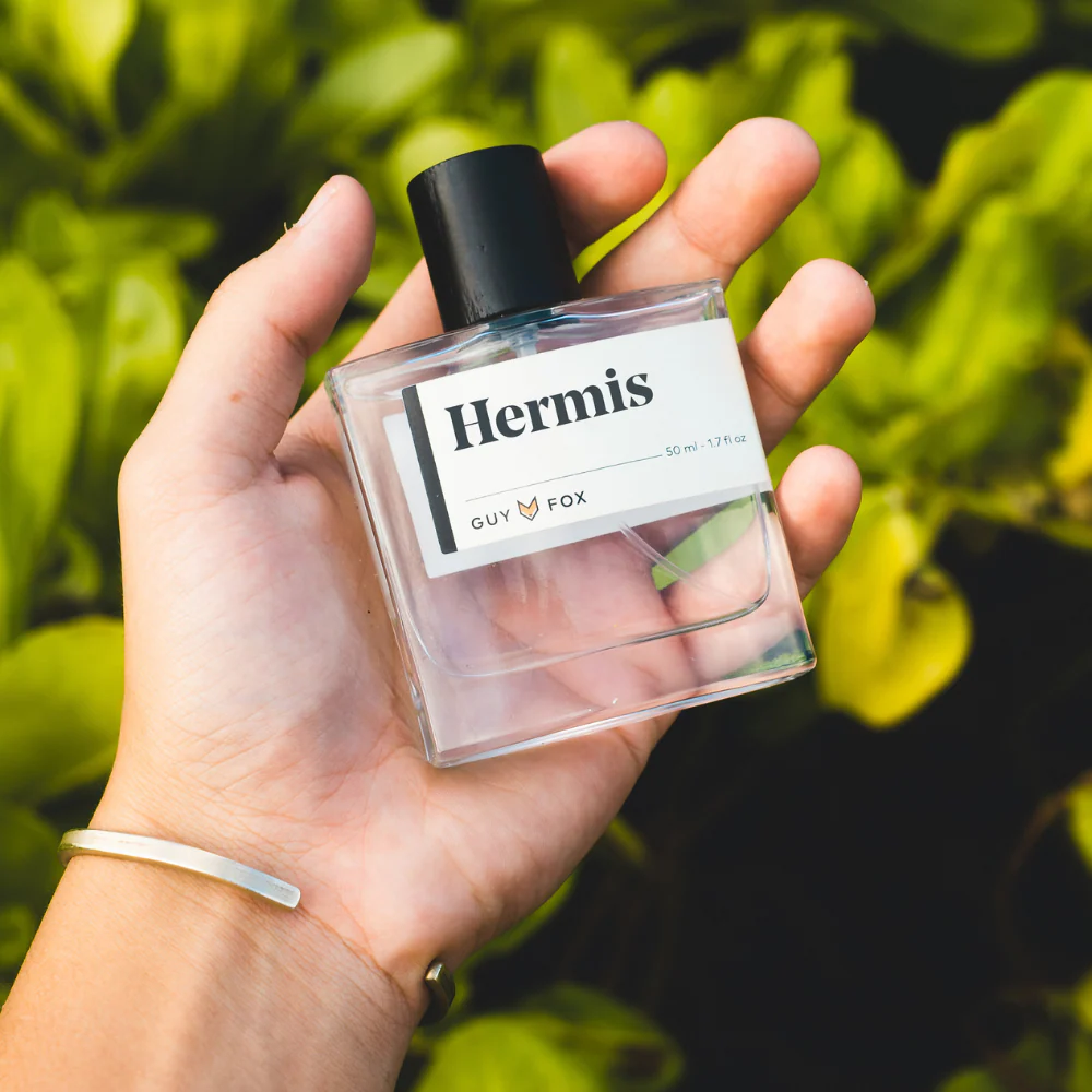 HERMIS - Image 5